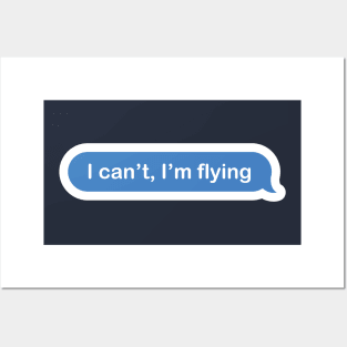 I can't, I'm flying facebook aviation plane design Posters and Art